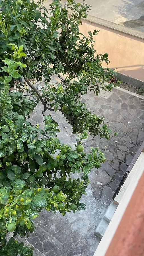 Everest Apartment Fiumicino